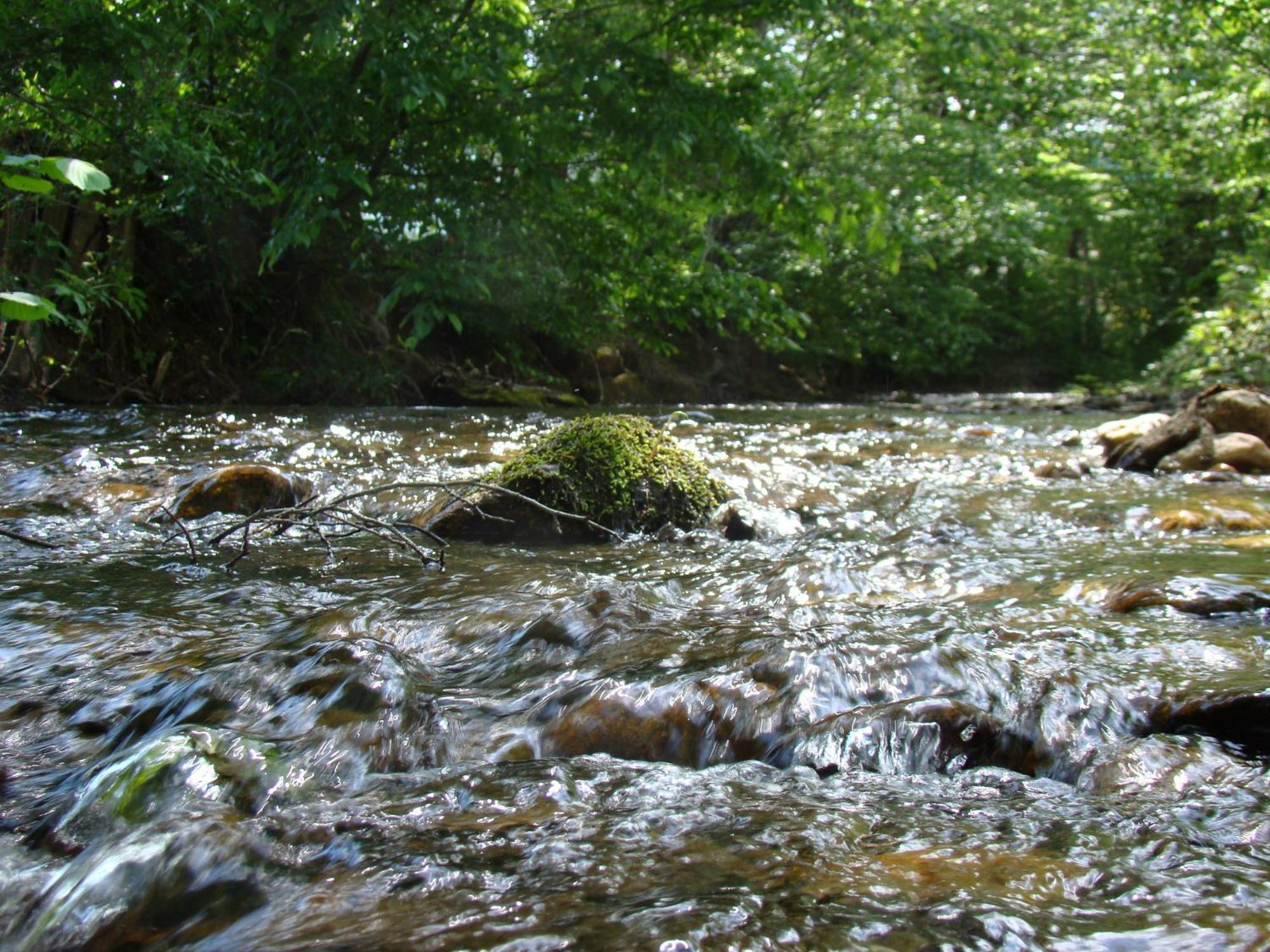 Gasthof Stegweber Schwanberg Dış mekan fotoğraf